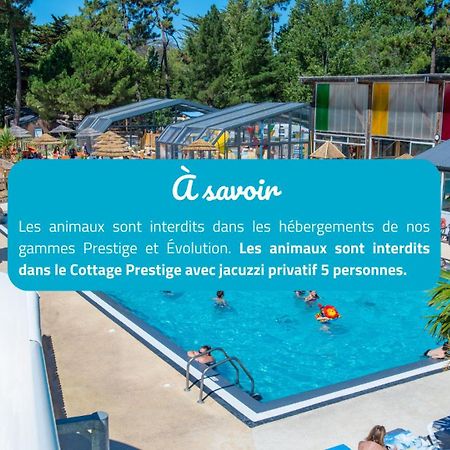Camping Signol Boyardville Экстерьер фото