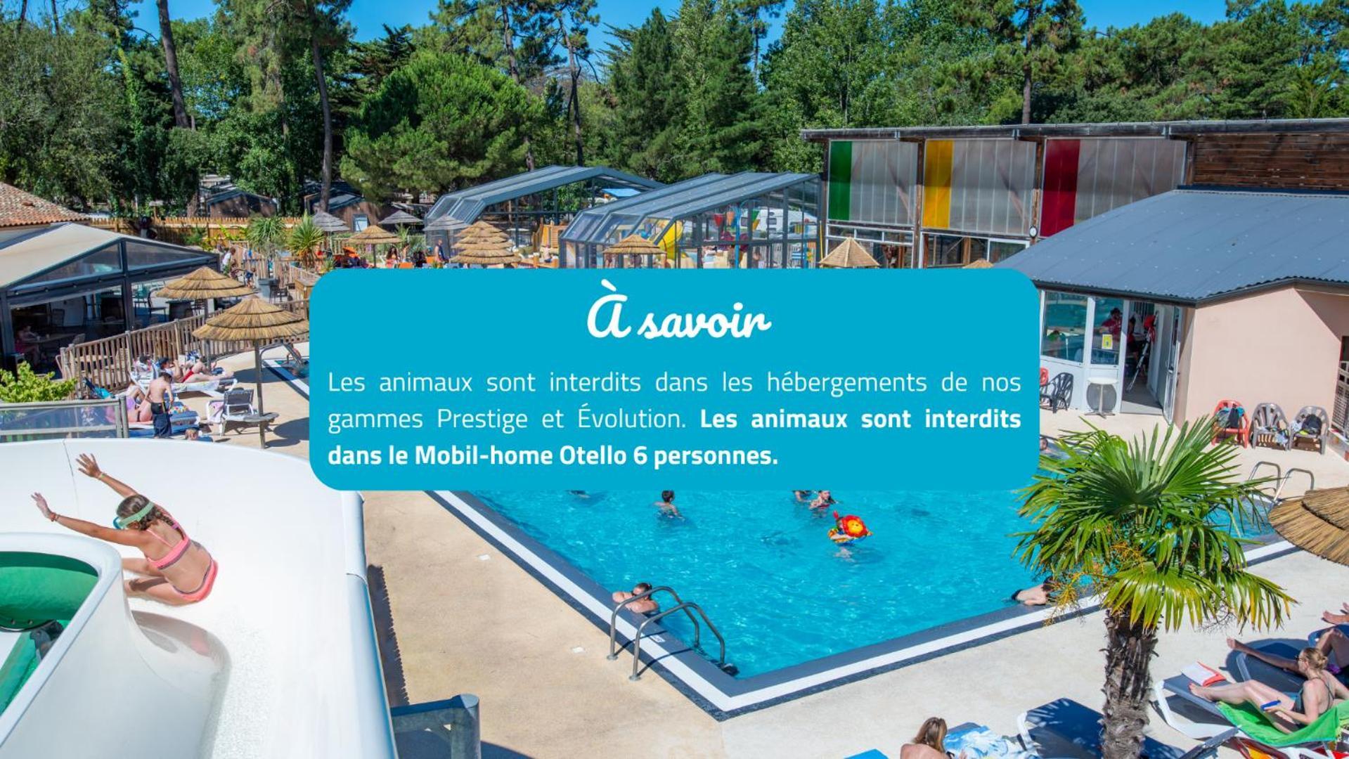 Camping Signol Boyardville Экстерьер фото