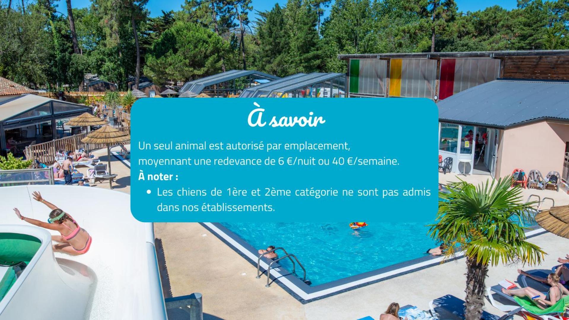 Camping Signol Boyardville Экстерьер фото