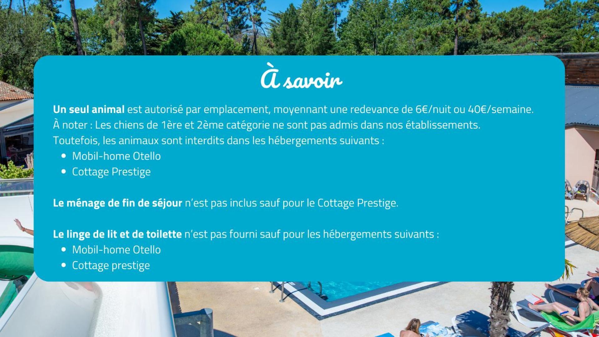 Camping Signol Boyardville Экстерьер фото